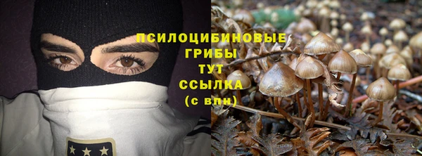 гидра Армянск